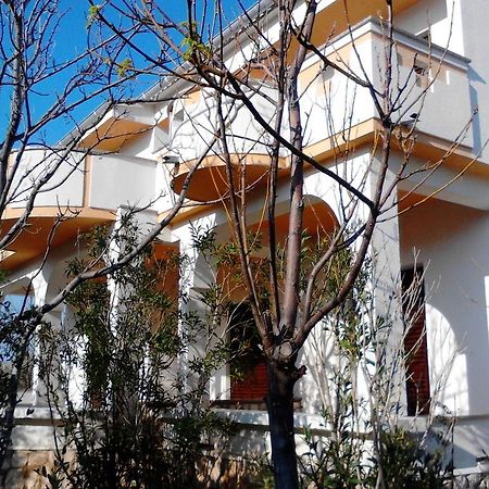 Apartments Kresimir Beauty With Shadow Trees And Parking Place Pag Town Luaran gambar