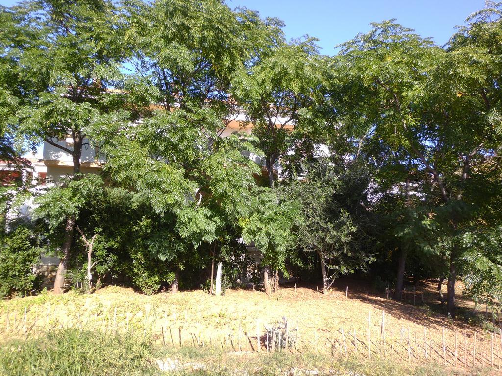 Apartments Kresimir Beauty With Shadow Trees And Parking Place Pag Town Luaran gambar