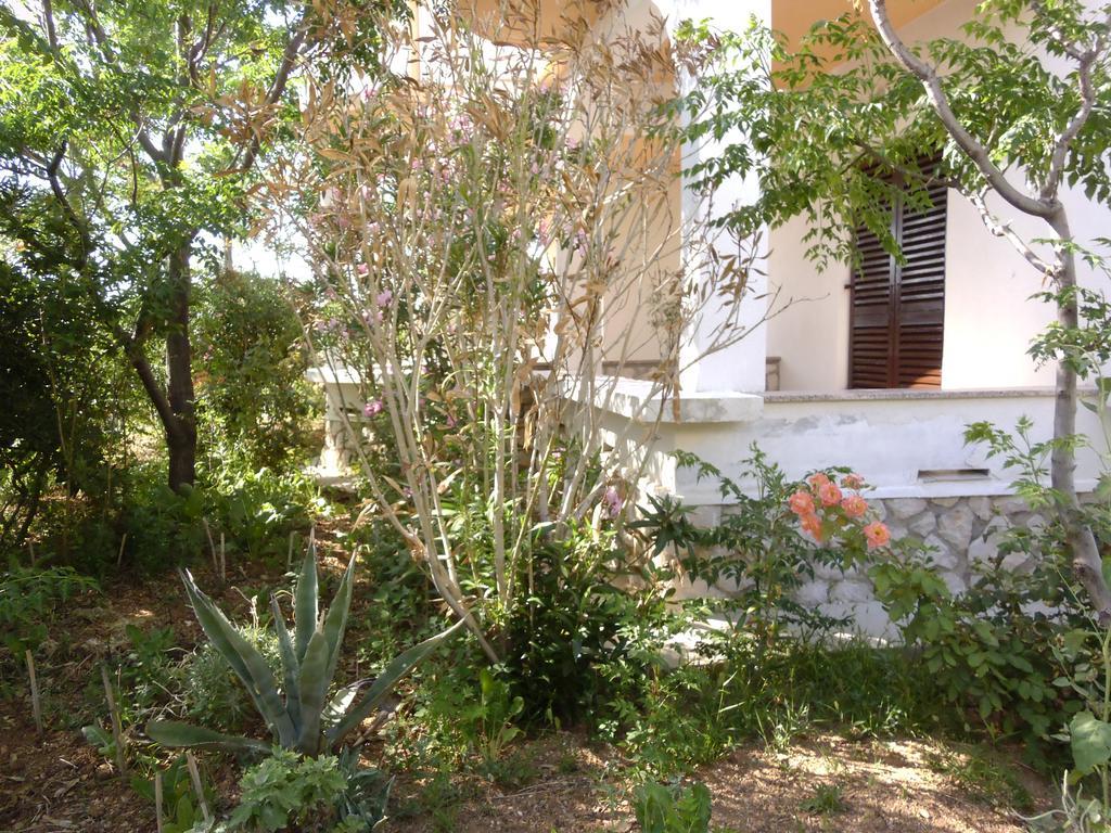 Apartments Kresimir Beauty With Shadow Trees And Parking Place Pag Town Bilik gambar